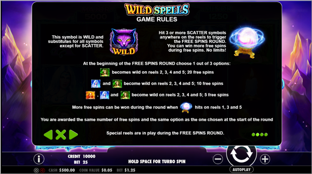 ws1